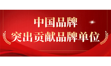 304am永利集团电梯获评“凸起贡献品牌单元”，设置中国品牌标杆力量